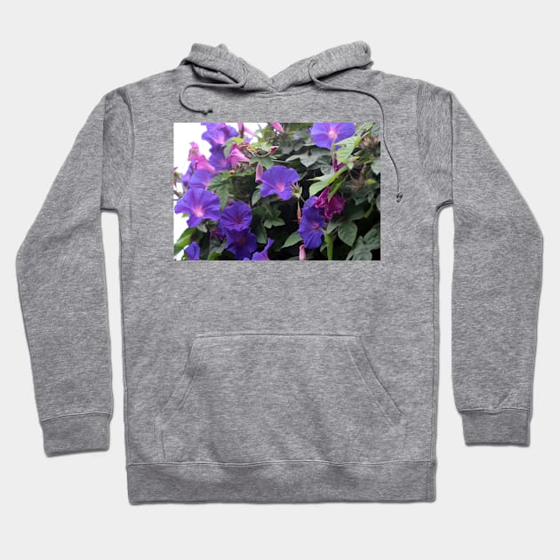 Spring Morning Glories in Blue Hoodie by ButterflyInTheAttic